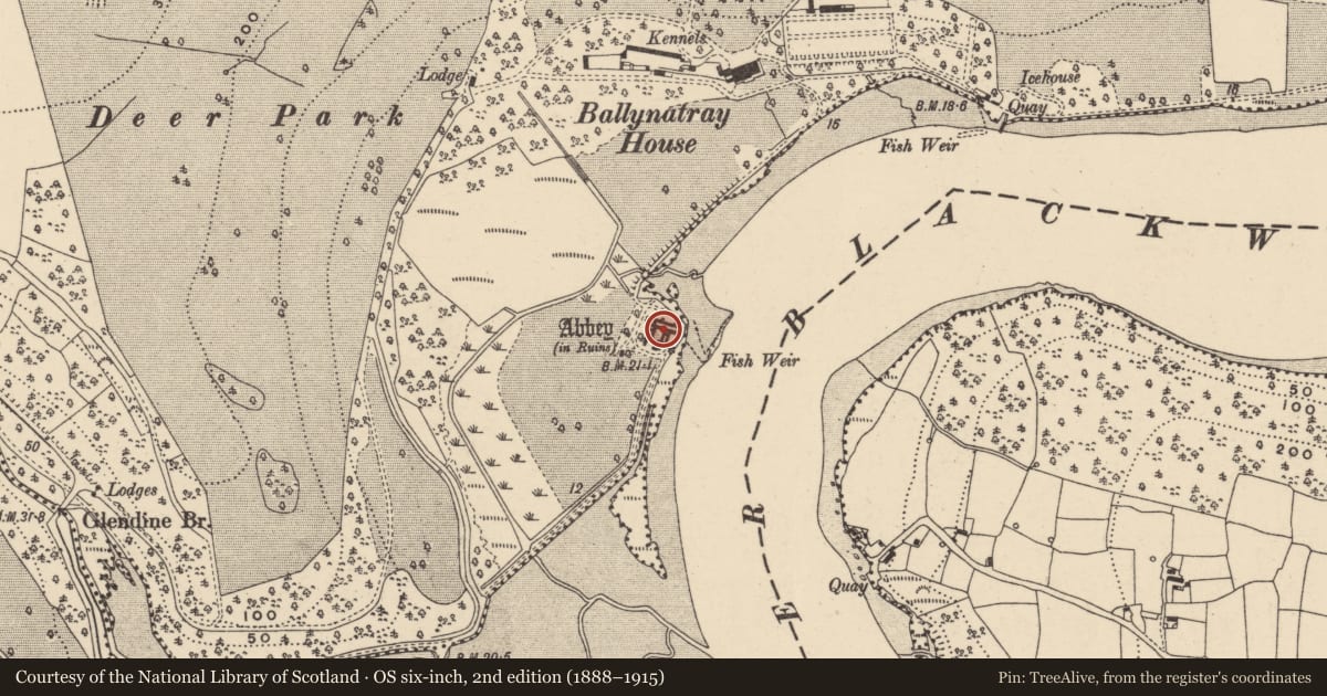 Ordnance Survey six-inch map, 2nd edition (1888–1915) covering the location of Tomb - effigial, Ballynatray Demesne, County Waterford, with a pin at the register's coordinates