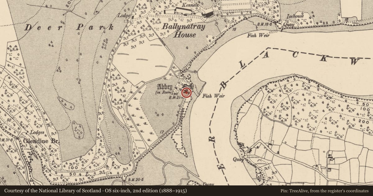Ordnance Survey six-inch map, 2nd edition (1888–1915) covering the location of Gateway, Ballynatray Demesne, County Waterford, with a pin at the register's coordinates