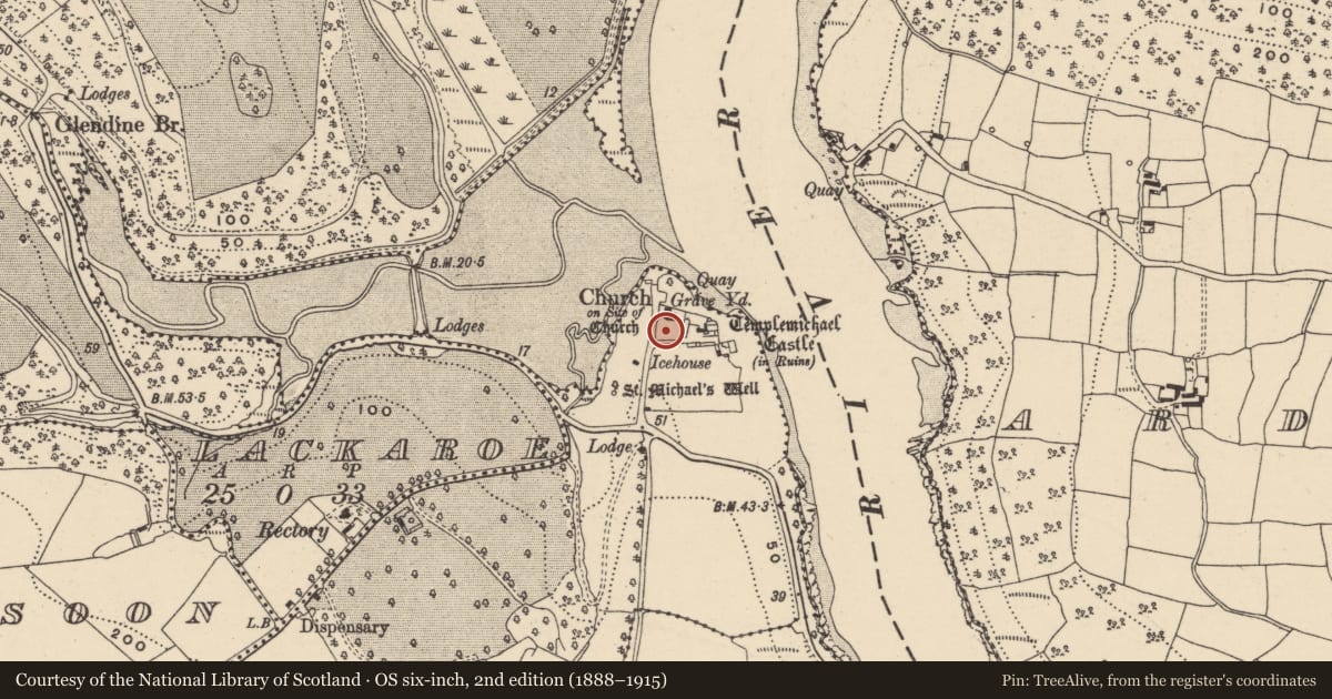 Ordnance Survey six-inch map, 2nd edition (1888–1915) covering the location of Graveyard, Templemichael, County Waterford, with a pin at the register's coordinates