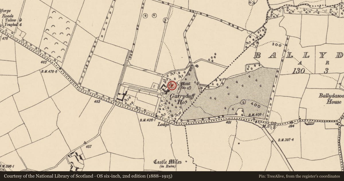 Ordnance Survey six-inch map, 2nd edition (1888–1915) covering the location of Castle - unclassified, Garryduff, County Waterford, with a pin at the register's coordinates
