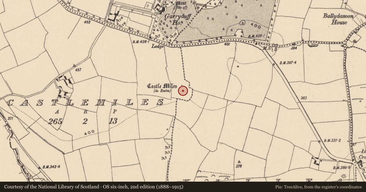 Ordnance Survey six-inch map, 2nd edition (1888–1915) covering the location of Moated site, Castlemiles, County Waterford, with a pin at the register's coordinates