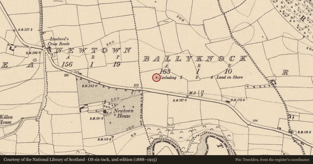 Ordnance Survey six-inch map, 2nd edition (1888–1915) covering the location of Souterrain, Ballyknock, County Waterford, with a pin at the register's coordinates