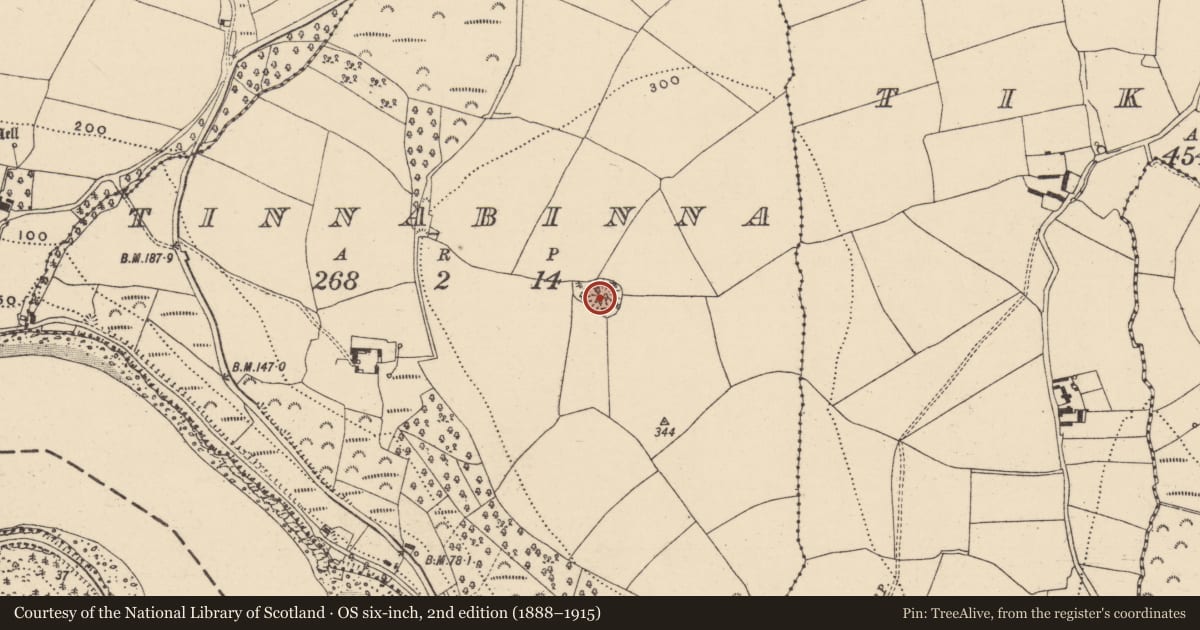 Ordnance Survey six-inch map, 2nd edition (1888–1915) covering the location of Ringfort - rath, Tinnabinna, County Waterford, with a pin at the register's coordinates