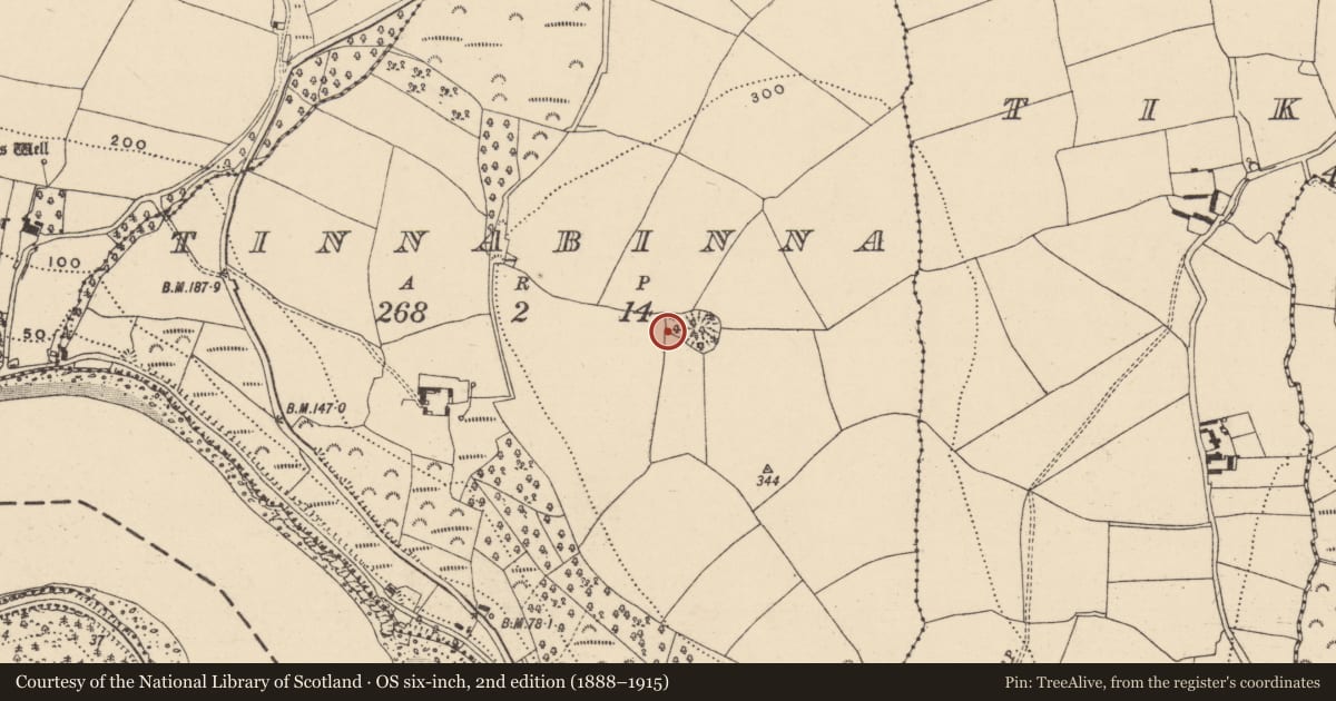 Ordnance Survey six-inch map, 2nd edition (1888–1915) covering the location of Enclosure, Tinnabinna, County Waterford, with a pin at the register's coordinates