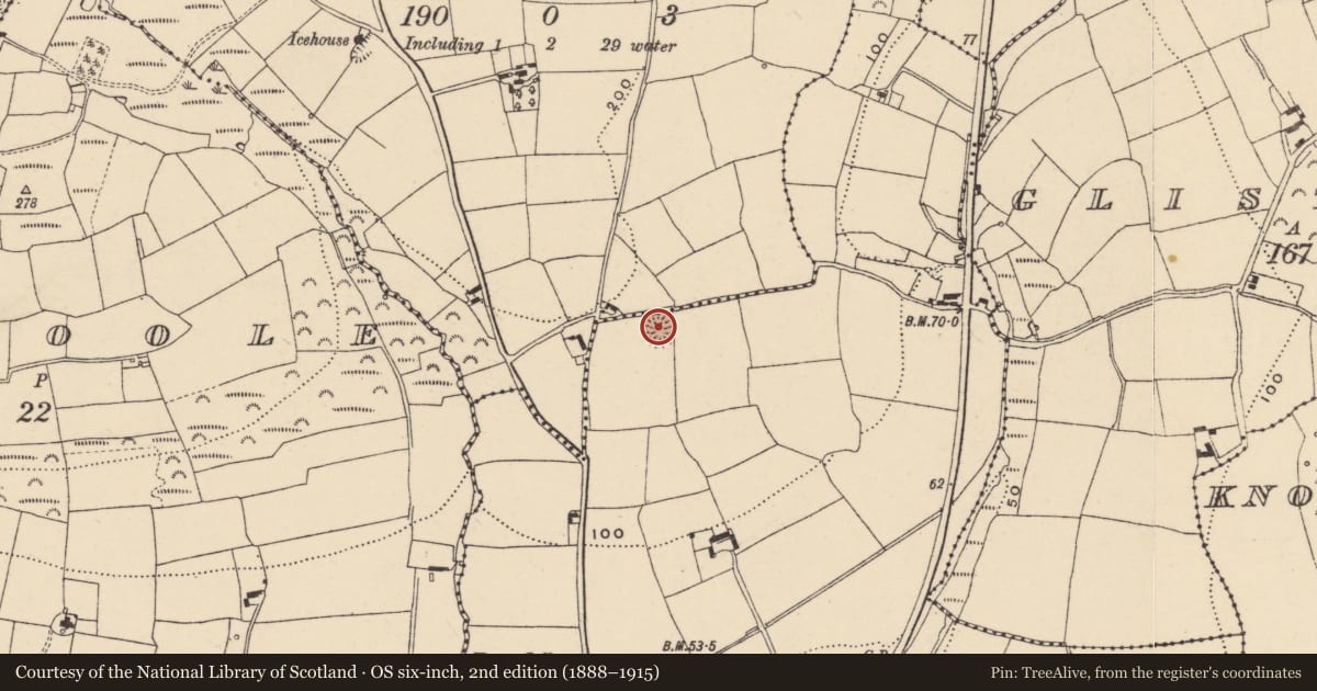 Ordnance Survey six-inch map, 2nd edition (1888–1915) covering the location of Ringfort - rath, Pilltown, County Waterford, with a pin at the register's coordinates