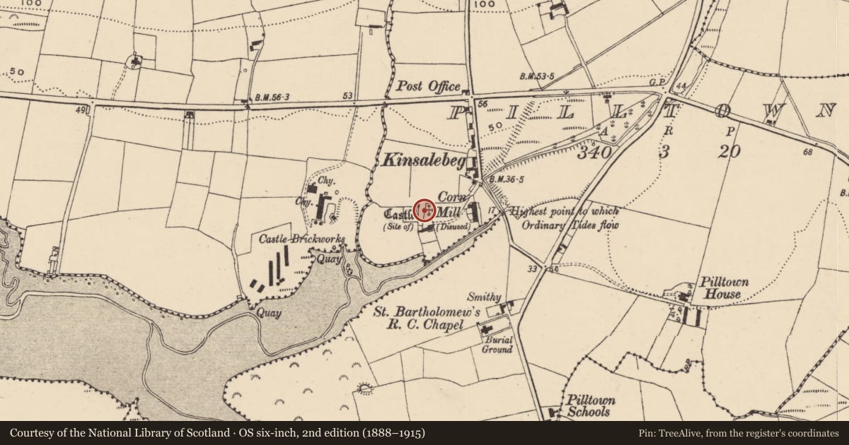 Ordnance Survey six-inch map, 2nd edition (1888–1915) covering the location of Castle - unclassified, Pilltown, County Waterford, with a pin at the register's coordinates