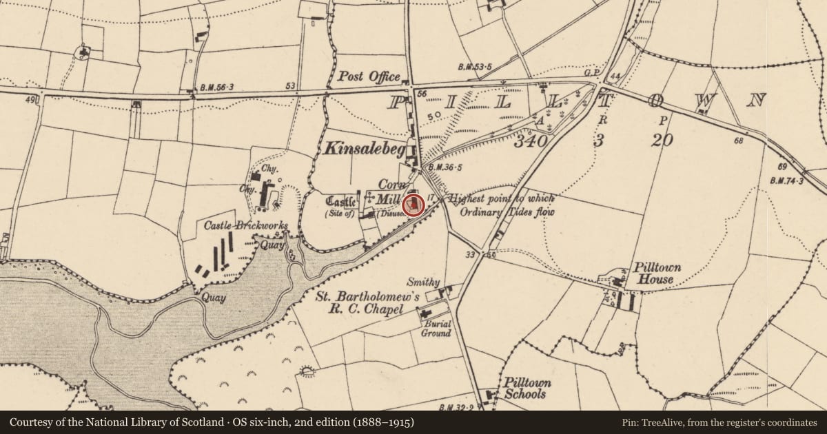 Ordnance Survey six-inch map, 2nd edition (1888–1915) covering the location of Mill - unclassified, Pilltown, County Waterford, with a pin at the register's coordinates
