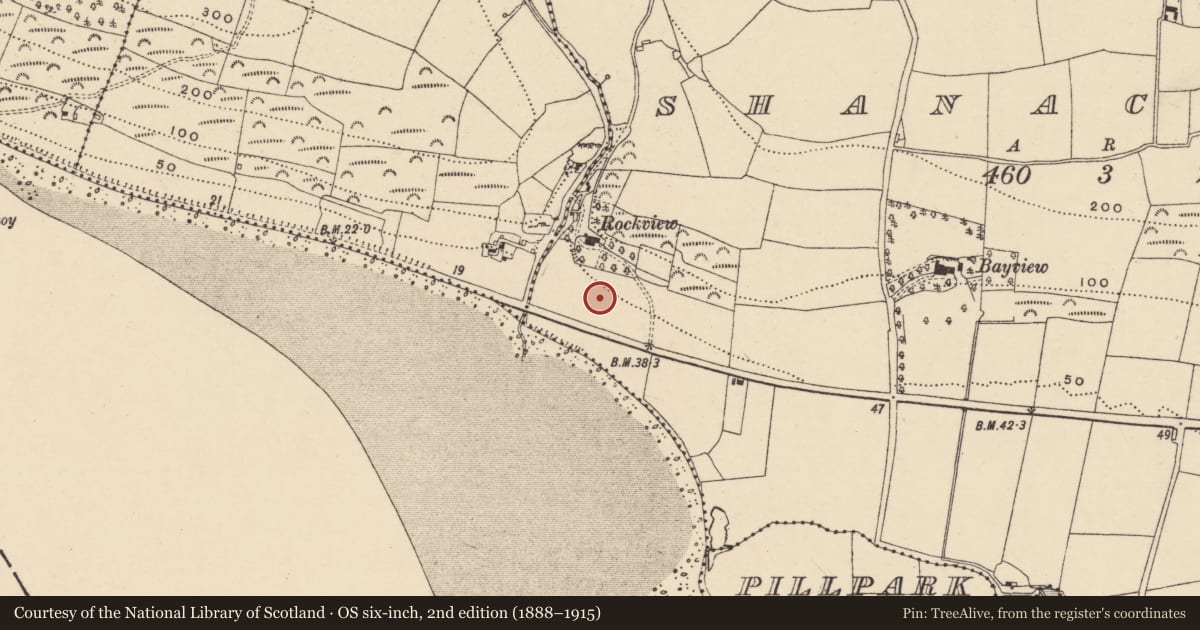 Ordnance Survey six-inch map, 2nd edition (1888–1915) covering the location of Standing stone, Shanacoole, County Waterford, with a pin at the register's coordinates