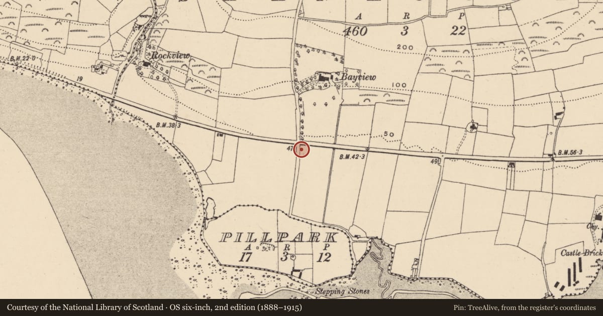 Ordnance Survey six-inch map, 2nd edition (1888–1915) covering the location of Burnt mound, Shanacoole, County Waterford, with a pin at the register's coordinates