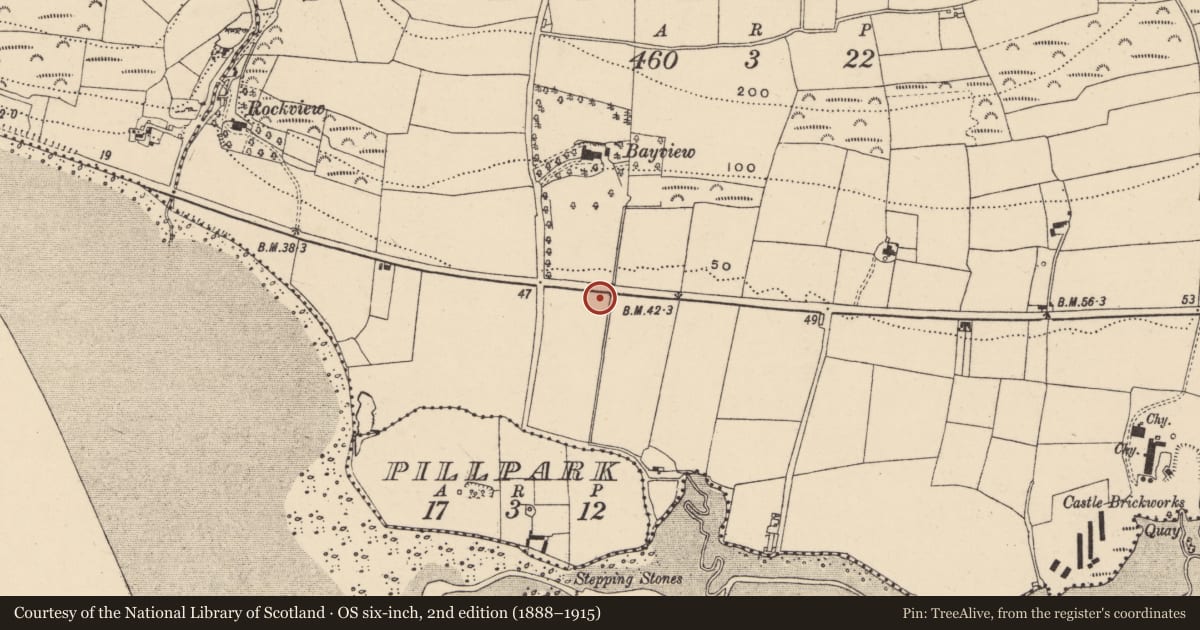 Ordnance Survey six-inch map, 2nd edition (1888–1915) covering the location of Burnt mound, Shanacoole, County Waterford, with a pin at the register's coordinates