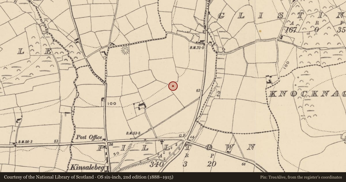 Ordnance Survey six-inch map, 2nd edition (1888–1915) covering the location of Enclosure, Pilltown, County Waterford, with a pin at the register's coordinates