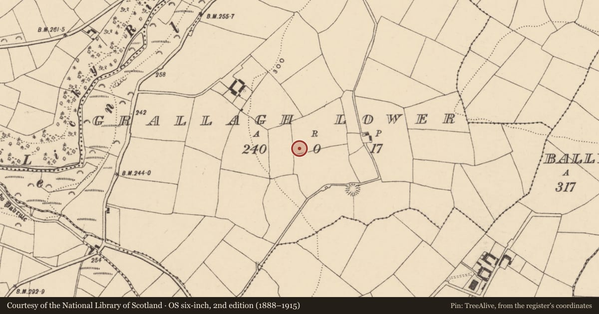 Ordnance Survey six-inch map, 2nd edition (1888–1915) covering the location of Ringfort - rath, Grallagh Lower, County Waterford, with a pin at the register's coordinates