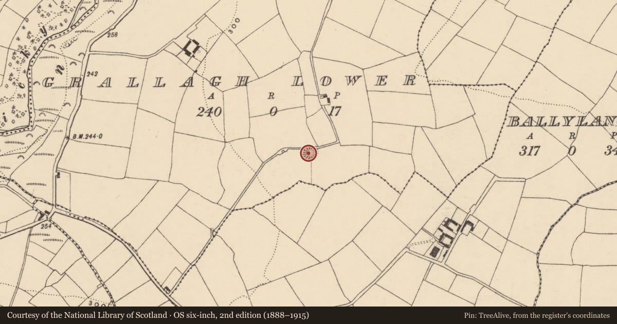 Ordnance Survey six-inch map, 2nd edition (1888–1915) covering the location of Ringfort - rath, Grallagh Lower, County Waterford, with a pin at the register's coordinates
