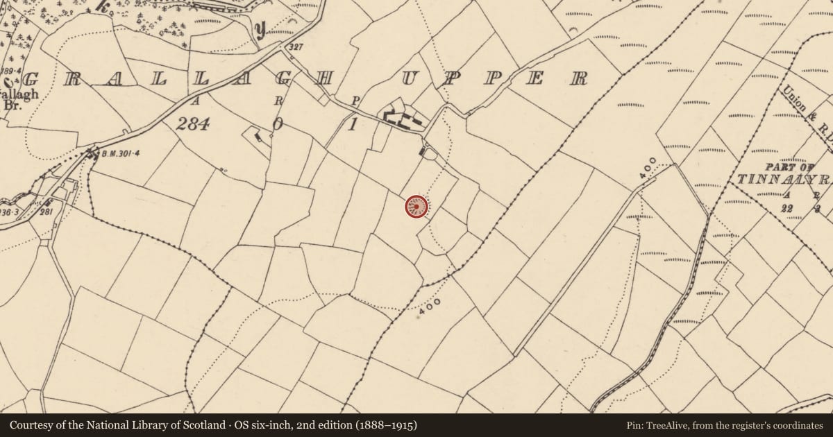 Ordnance Survey six-inch map, 2nd edition (1888–1915) covering the location of Ringfort - rath, Grallagh Upper, County Waterford, with a pin at the register's coordinates