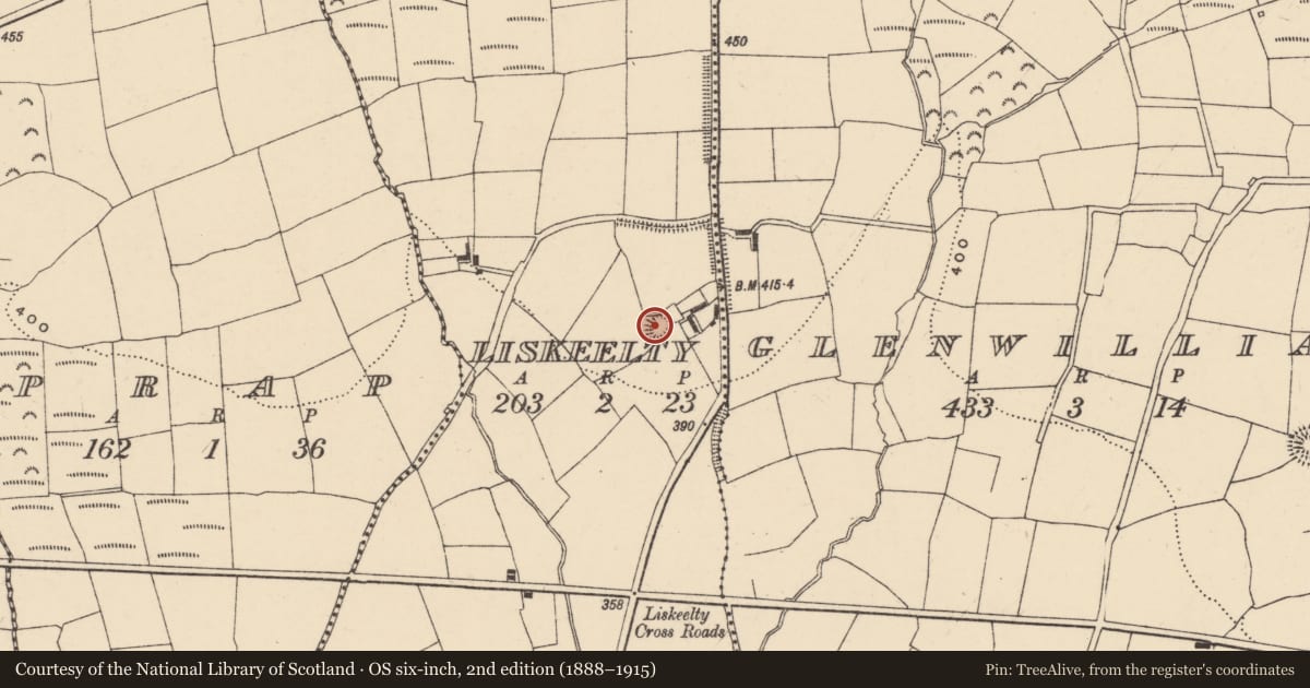 Ordnance Survey six-inch map, 2nd edition (1888–1915) covering the location of Ringfort - rath, Liskeelty (Decies within Drum By., Ballymacart Par.), County Waterford, with a pin at the register's coordinates