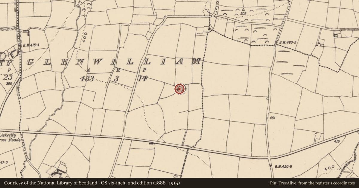 Ordnance Survey six-inch map, 2nd edition (1888–1915) covering the location of Enclosure, Glen William, County Waterford, with a pin at the register's coordinates