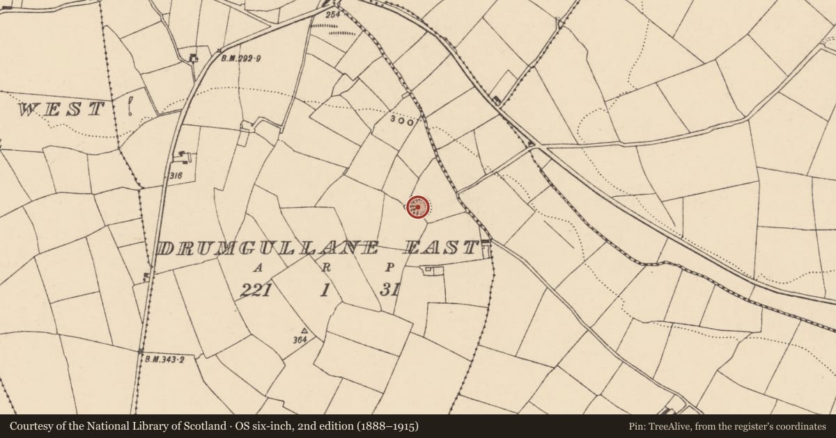 Ordnance Survey six-inch map, 2nd edition (1888–1915) covering the location of Ringfort - rath, Drumgullane East, County Waterford, with a pin at the register's coordinates