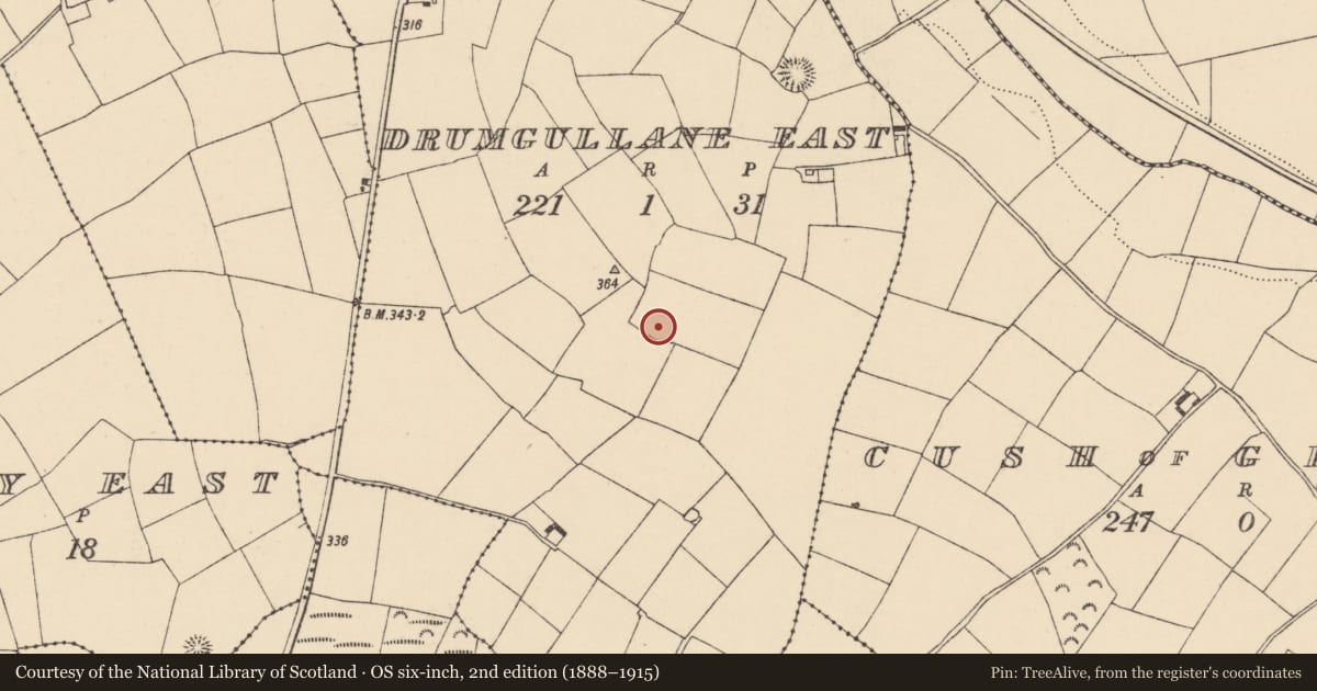 Ordnance Survey six-inch map, 2nd edition (1888–1915) covering the location of Ringfort - unclassified, Drumgullane East, County Waterford, with a pin at the register's coordinates