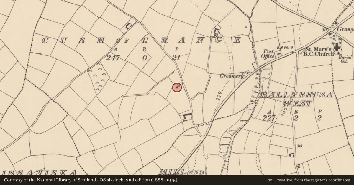 Ordnance Survey six-inch map, 2nd edition (1888–1915) covering the location of Ringfort - rath, Cush of Grange, County Waterford, with a pin at the register's coordinates