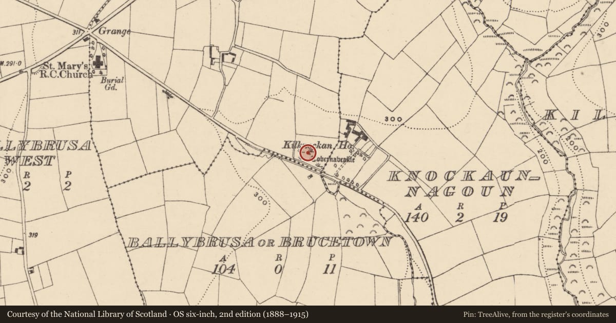 Ordnance Survey six-inch map, 2nd edition (1888–1915) covering the location of Ritual site - holy well, Tinnalyra, County Waterford, with a pin at the register's coordinates