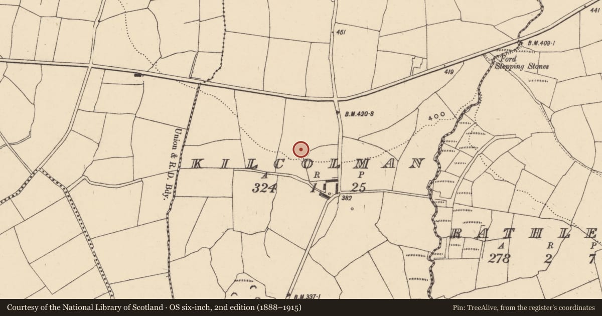 Ordnance Survey six-inch map, 2nd edition (1888–1915) covering the location of Enclosure, Kilcolman, County Waterford, with a pin at the register's coordinates