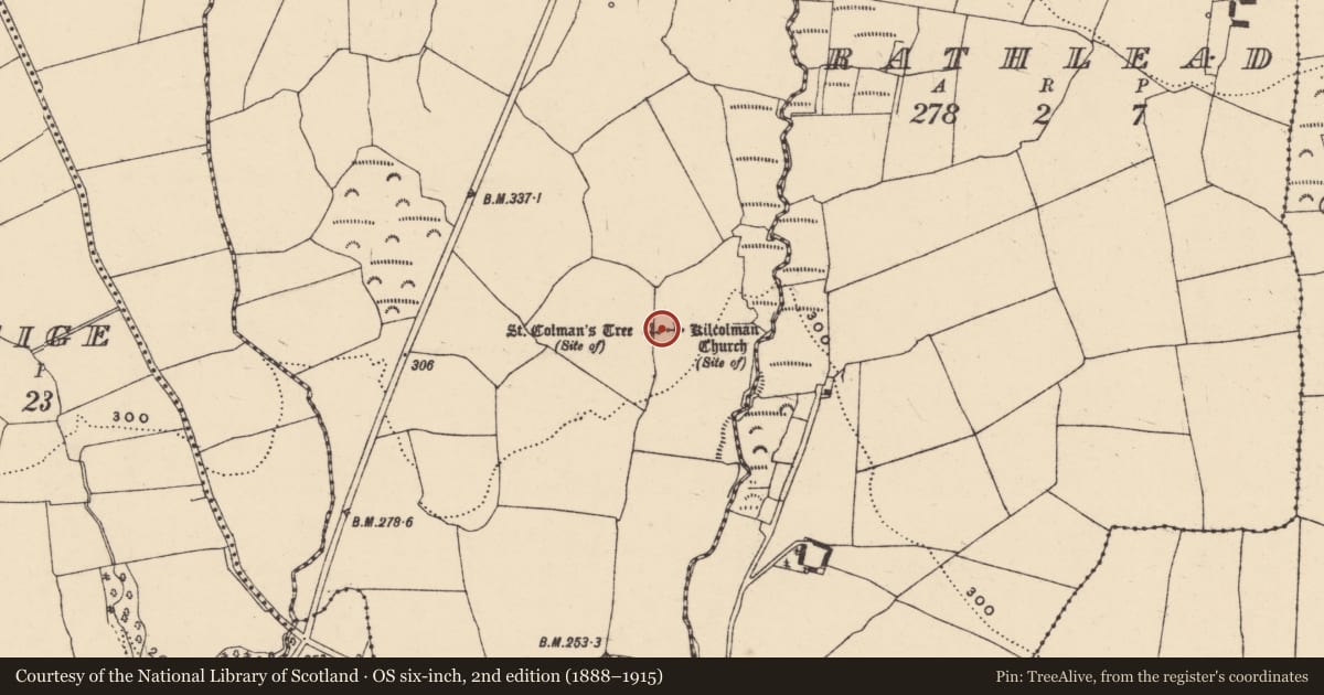 Ordnance Survey six-inch map, 2nd edition (1888–1915) covering the location of Graveyard, Kilcolman, County Waterford, with a pin at the register's coordinates