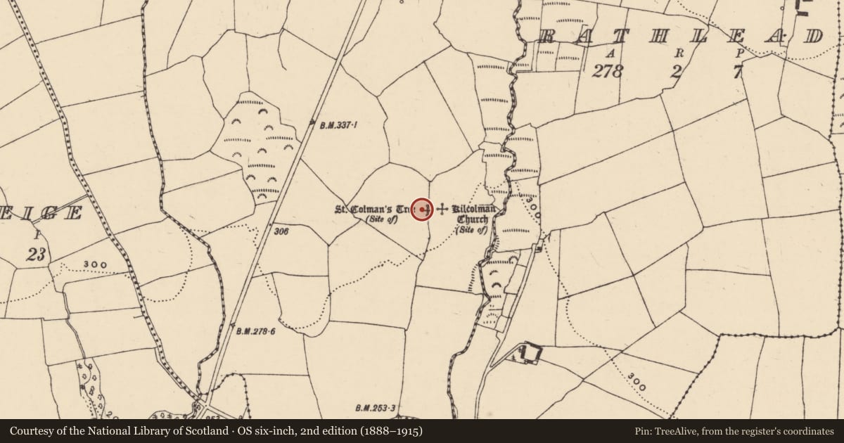 Ordnance Survey six-inch map, 2nd edition (1888–1915) covering the location of Ritual site - holy tree/bush, Kilcolman, County Waterford, with a pin at the register's coordinates