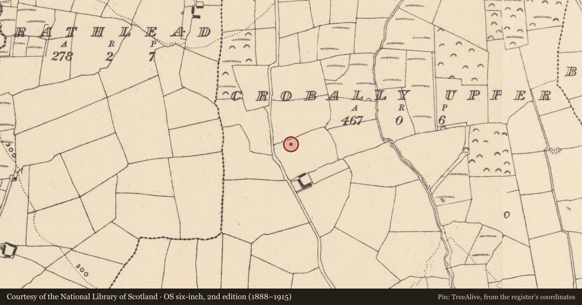 Ordnance Survey six-inch map, 2nd edition (1888–1915) covering the location of Ringfort - unclassified, Cruabhaile Uachtarach (Bar. Na Déise laistigh den Drom), County Waterford, with a pin at the register's coordinates