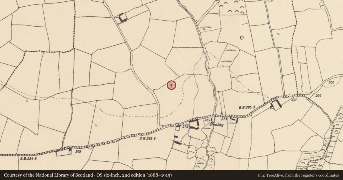 Ordnance Survey six-inch map, 2nd edition (1888–1915) covering the location of Ringfort - rath, Cruabhaile Uachtarach (Bar. Na Déise laistigh den Drom), County Waterford, with a pin at the register's coordinates