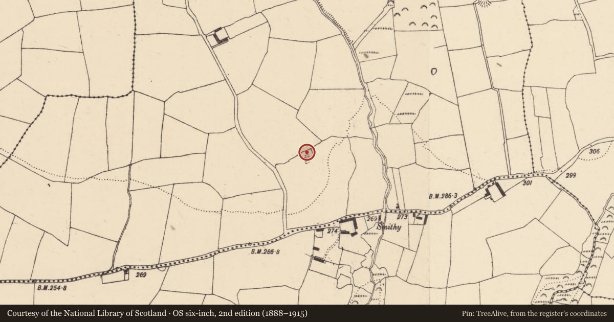 Ordnance Survey six-inch map, 2nd edition (1888–1915) covering the location of Souterrain, Cruabhaile Uachtarach (Bar. Na Déise laistigh den Drom), County Waterford, with a pin at the register's coordinates