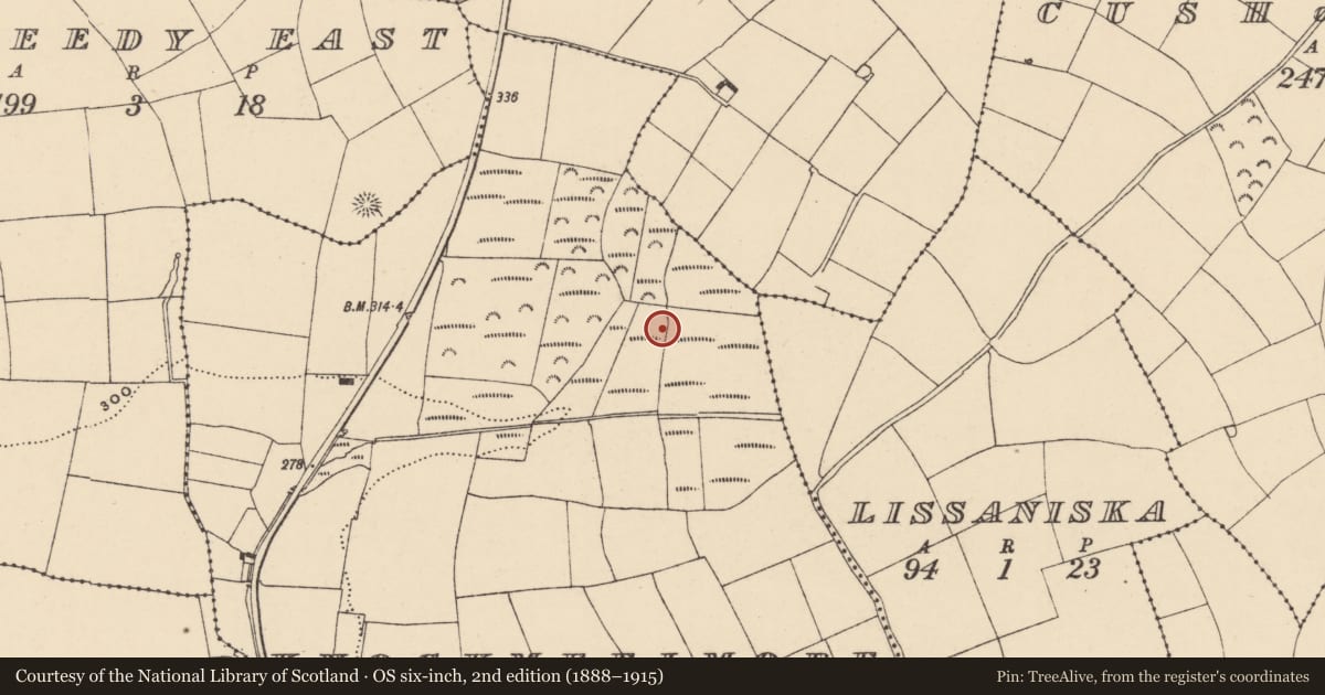 Ordnance Survey six-inch map, 2nd edition (1888–1915) covering the location of Barrow - unclassified, Knockmeelmore, County Waterford, with a pin at the register's coordinates