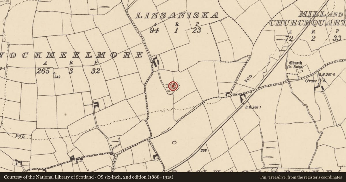 Ordnance Survey six-inch map, 2nd edition (1888–1915) covering the location of Ringfort - rath, Lissaniska, County Waterford, with a pin at the register's coordinates