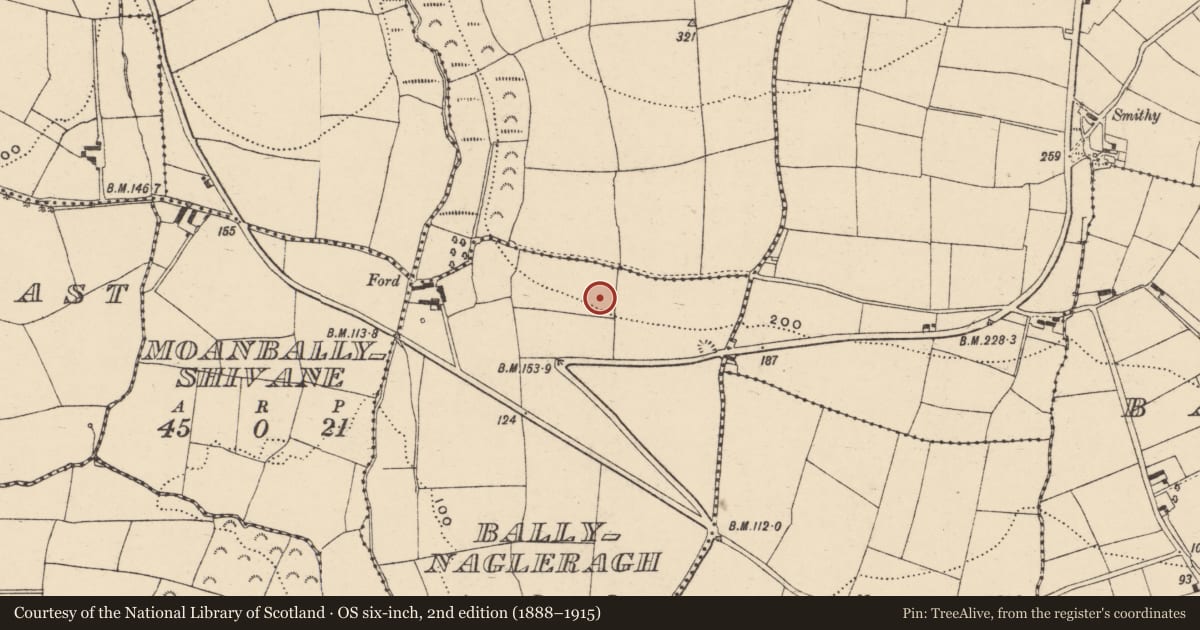 Ordnance Survey six-inch map, 2nd edition (1888–1915) covering the location of Ringfort - rath, Ballynagleragh, County Waterford, with a pin at the register's coordinates