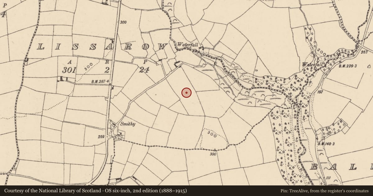 Ordnance Survey six-inch map, 2nd edition (1888–1915) covering the location of Souterrain, Lissarow (Decies within Drum By., Ballymacart Par.), County Waterford, with a pin at the register's coordinates