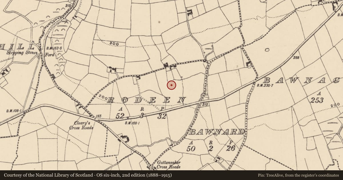 Ordnance Survey six-inch map, 2nd edition (1888–1915) covering the location of Ringfort - unclassified, Rodeen, County Waterford, with a pin at the register's coordinates