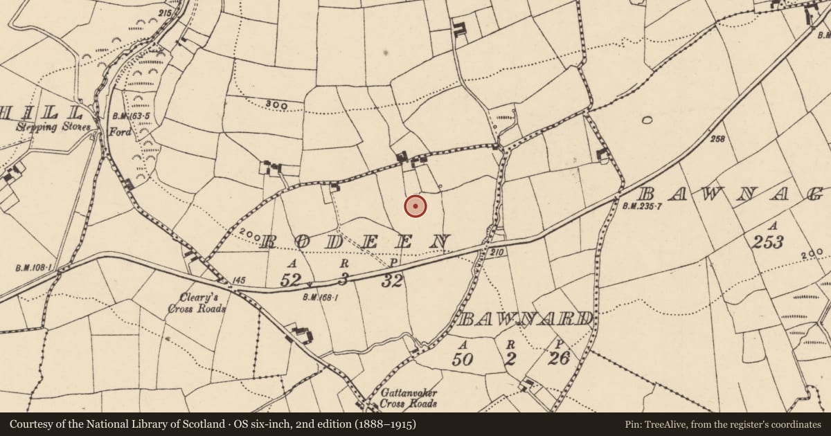 Ordnance Survey six-inch map, 2nd edition (1888–1915) covering the location of Burial ground, Rodeen, County Waterford, with a pin at the register's coordinates