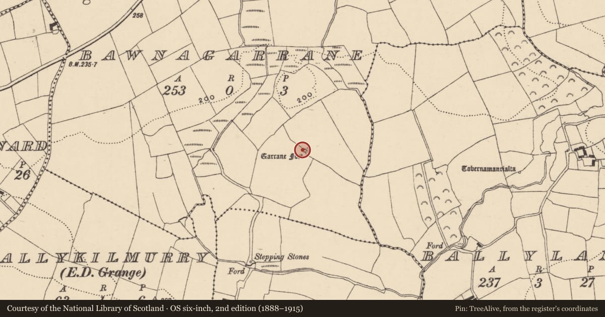 Ordnance Survey six-inch map, 2nd edition (1888–1915) covering the location of Ringfort - unclassified, Bawnagarrane, County Waterford, with a pin at the register's coordinates