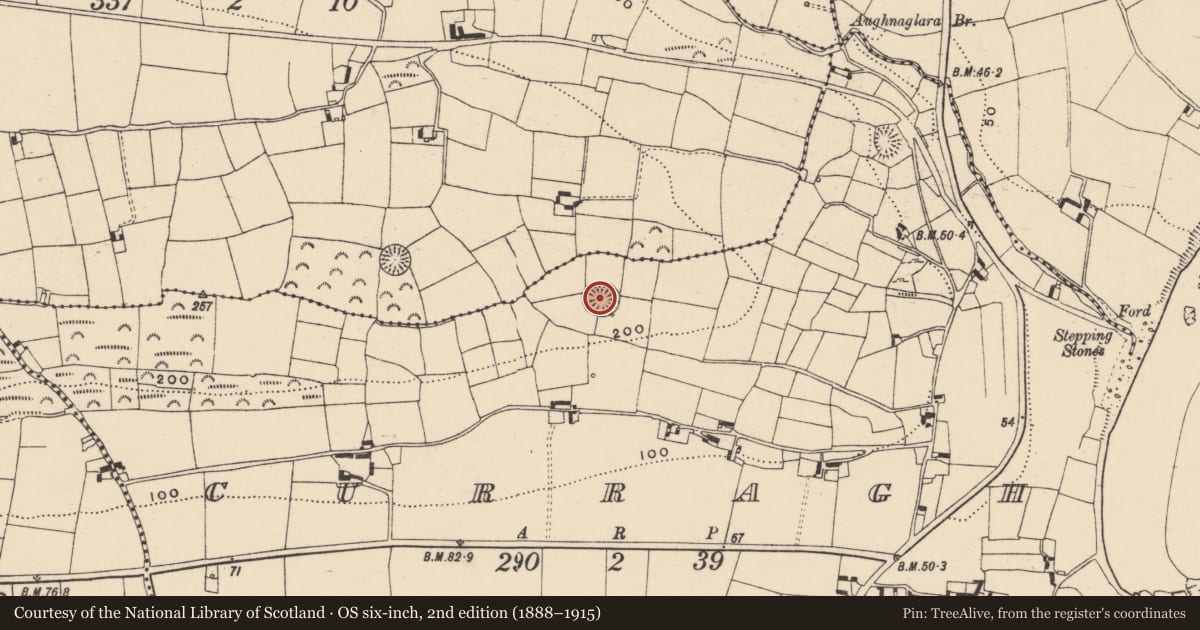 Ordnance Survey six-inch map, 2nd edition (1888–1915) covering the location of Ringfort - rath, Curragh, County Waterford, with a pin at the register's coordinates
