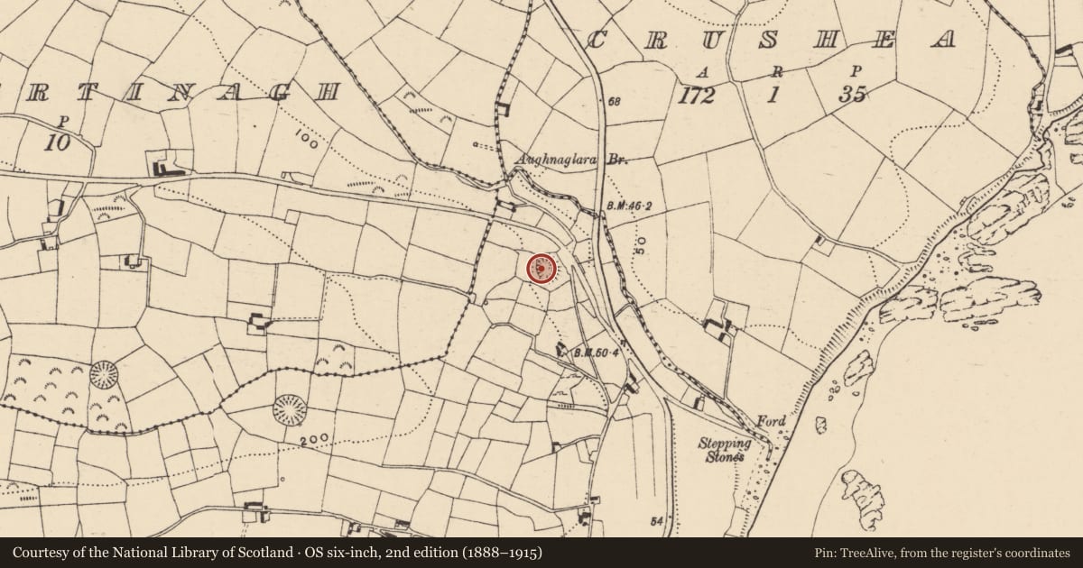 Ordnance Survey six-inch map, 2nd edition (1888–1915) covering the location of Ringfort - rath, Curragh, County Waterford, with a pin at the register's coordinates