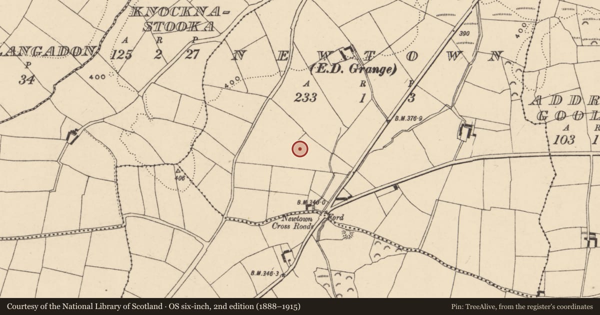 Ordnance Survey six-inch map, 2nd edition (1888–1915) covering the location of Standing stone, Newtown (Decies within Drum By., Ardmore Par.), County Waterford, with a pin at the register's coordinates