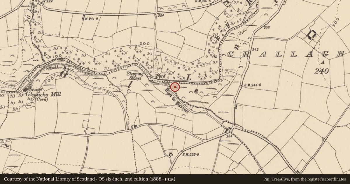 Ordnance Survey six-inch map, 2nd edition (1888–1915) covering the location of Fulacht fia, Grallagh Lower, County Waterford, with a pin at the register's coordinates