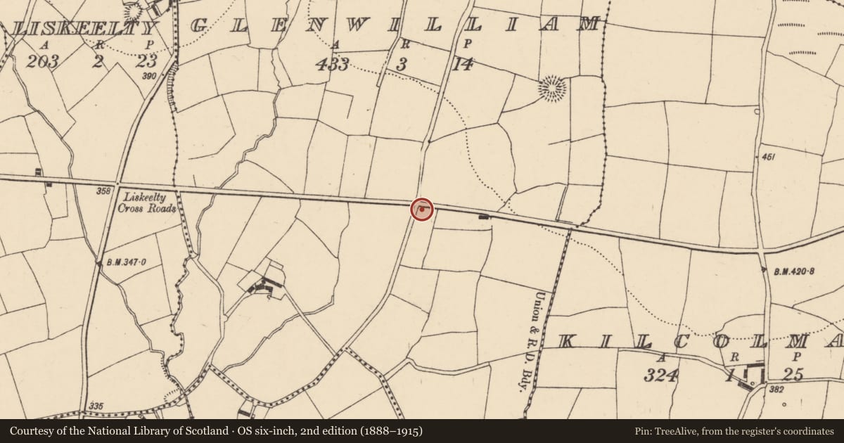 Ordnance Survey six-inch map, 2nd edition (1888–1915) covering the location of Standing stone, Glen William, County Waterford, with a pin at the register's coordinates