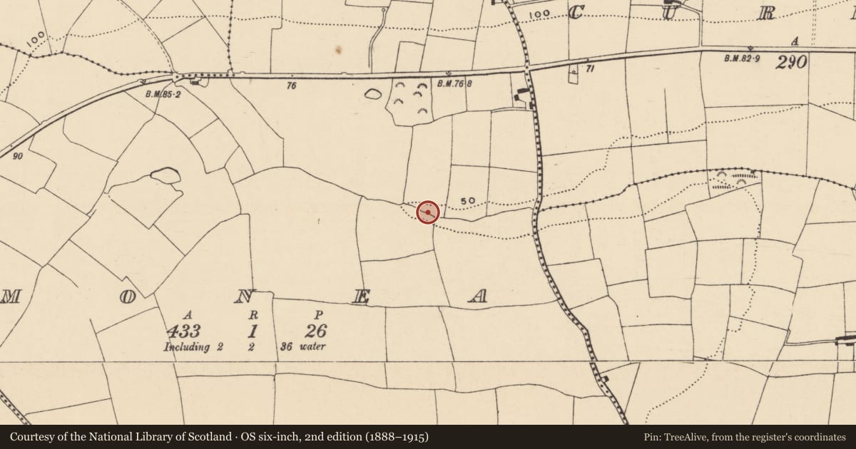 Ordnance Survey six-inch map, 2nd edition (1888–1915) covering the location of Fulacht fia, Monea, County Waterford, with a pin at the register's coordinates