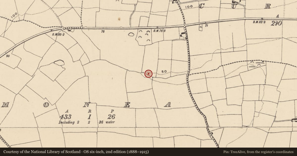 Ordnance Survey six-inch map, 2nd edition (1888–1915) covering the location of Kiln, Monea, County Waterford, with a pin at the register's coordinates