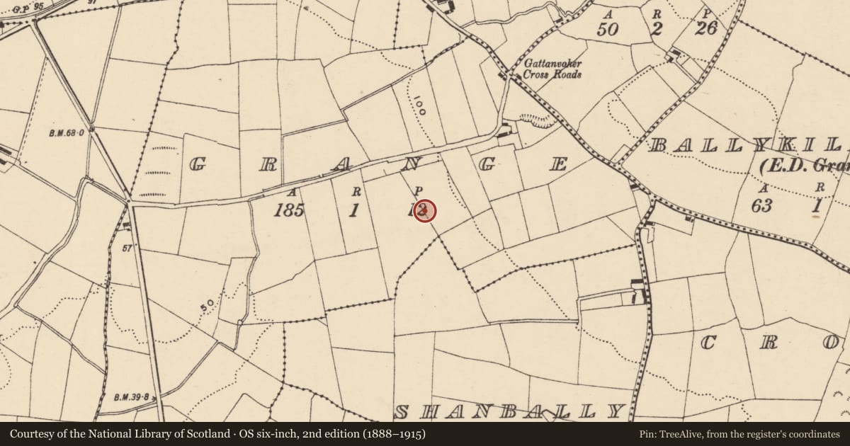 Ordnance Survey six-inch map, 2nd edition (1888–1915) covering the location of Enclosure - large enclosure, Grange, County Waterford, with a pin at the register's coordinates