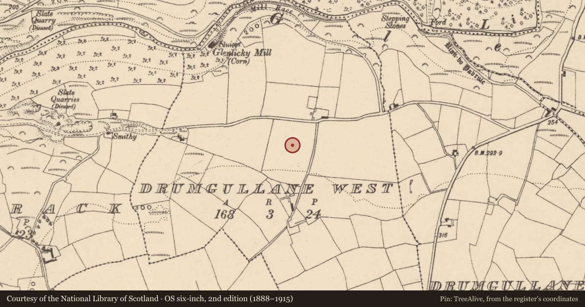 Ordnance Survey six-inch map, 2nd edition (1888–1915) covering the location of Standing stone, Drumgullane West, County Waterford, with a pin at the register's coordinates