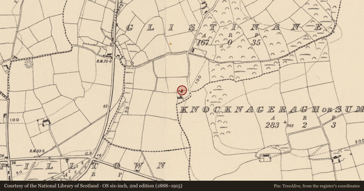 Ordnance Survey six-inch map, 2nd edition (1888–1915) covering the location of Bullaun stone, Glistinane, County Waterford, with a pin at the register's coordinates