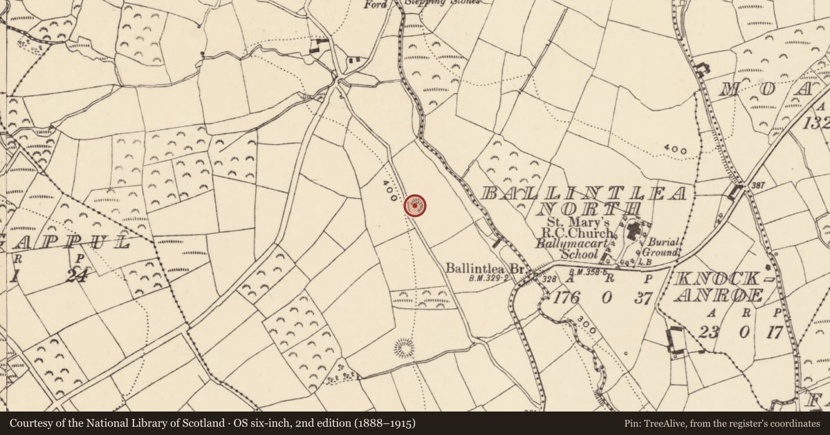 Ordnance Survey six-inch map, 2nd edition (1888–1915) covering the location of Ringfort - rath, Gowlaun, County Waterford, with a pin at the register's coordinates