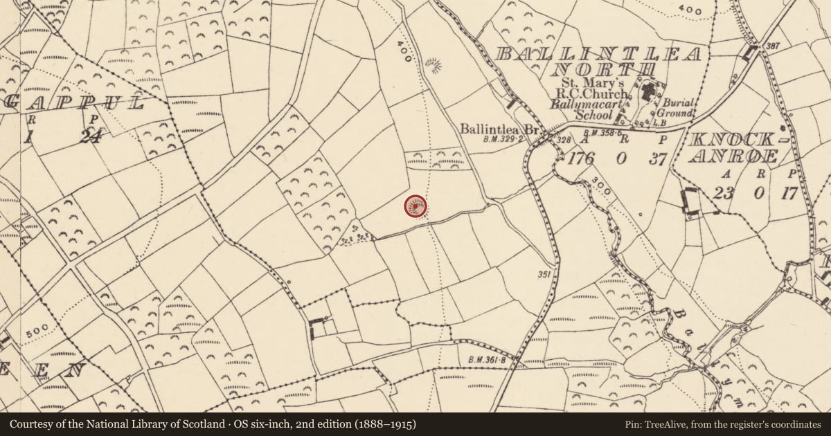 Ordnance Survey six-inch map, 2nd edition (1888–1915) covering the location of Ringfort - unclassified, Gowlaun, County Waterford, with a pin at the register's coordinates