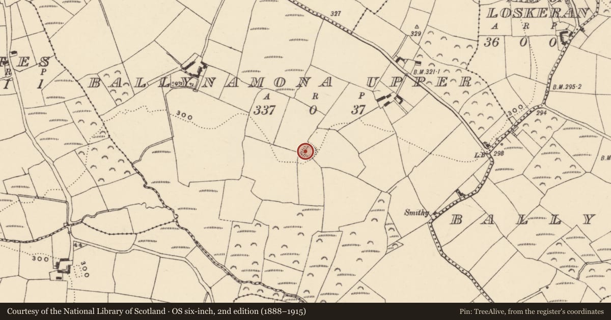 Ordnance Survey six-inch map, 2nd edition (1888–1915) covering the location of Ringfort - rath, Baile Na Móna Uachtarach, County Waterford, with a pin at the register's coordinates